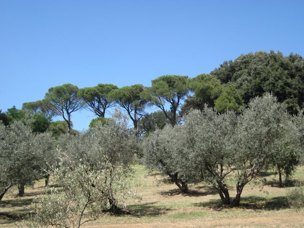 Tenuta Olmatello Quartolo Exterior foto