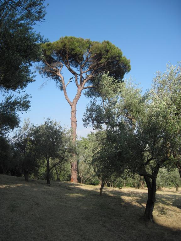 Tenuta Olmatello Quartolo Exterior foto