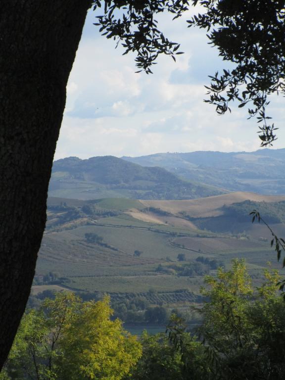 Tenuta Olmatello Quartolo Exterior foto